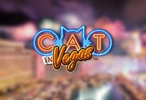 Cat in Vegas