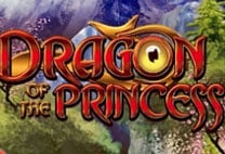 Dragon of the Princess