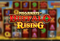 Buffalo Rising Megaways