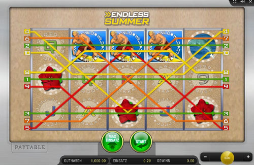 Endless Summer Automatenspiel