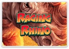 Raging Rhino Megaways