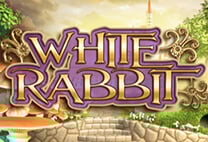 White Rabbit